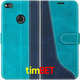 Descubra a Essência do timbet: Nossa História e Compromissos